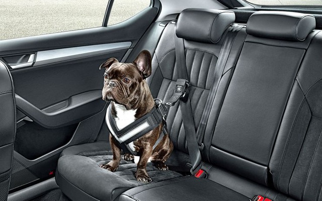 15 luật lệ giao thông kỳ cục trên thế giới - 10 15 luật lệ giao thông kỳ cục trên thế giới - 10