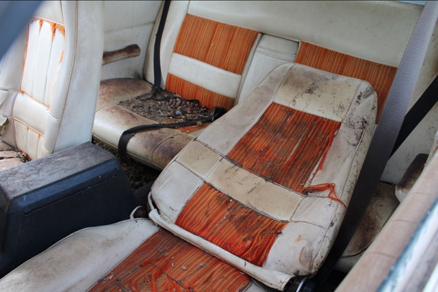 Xe đồng nát bị bỏ hoang 32 năm bỗng bán được giá kỷ lục - 10