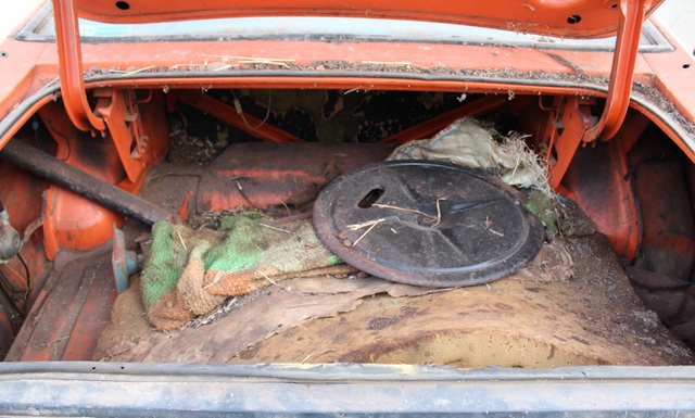 Xe đồng nát bị bỏ hoang 32 năm bỗng bán được giá kỷ lục - 13