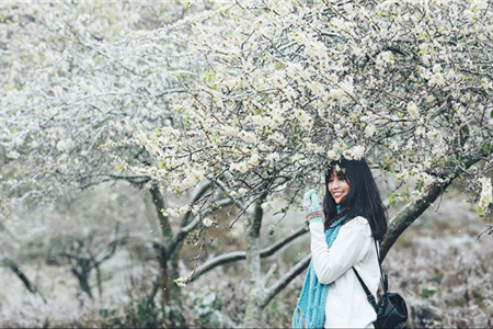 Mùa đông nên đi du lịch ở đâu thú vị nhất?